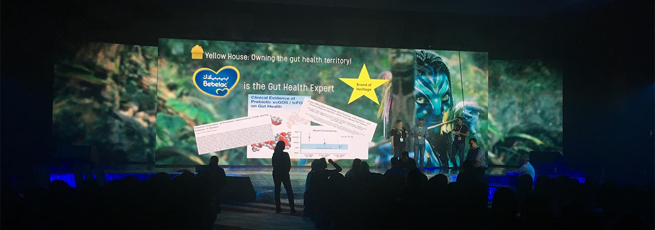 Danone Conference