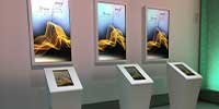 Museum Of The Future